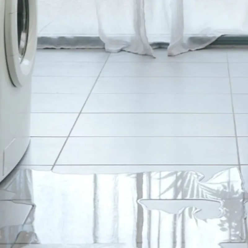 Appliance Leak Cleanup in Linden, TX