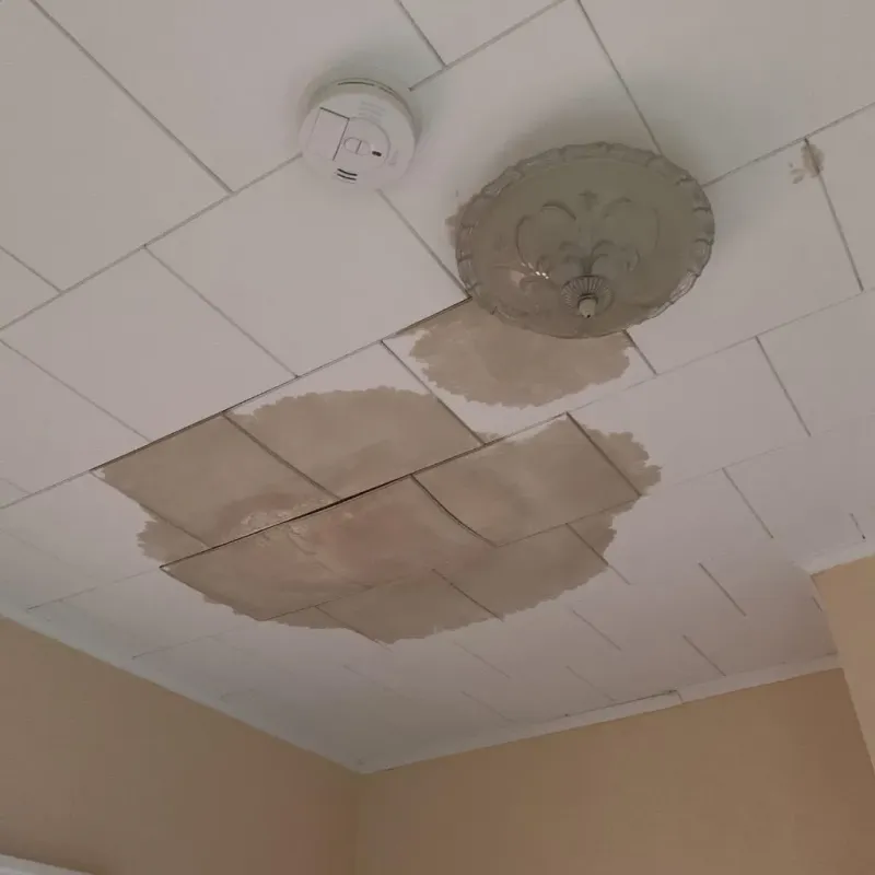 Ceiling Water Damage Repair in Linden, TX