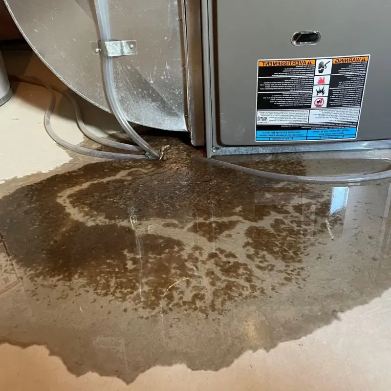 Pipe Burst and Leak Restoration in Linden, TX