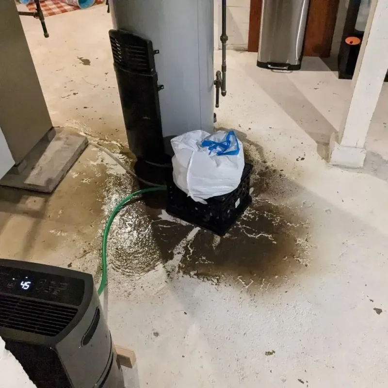 Sewage Backup Cleanup Service in Linden, TX